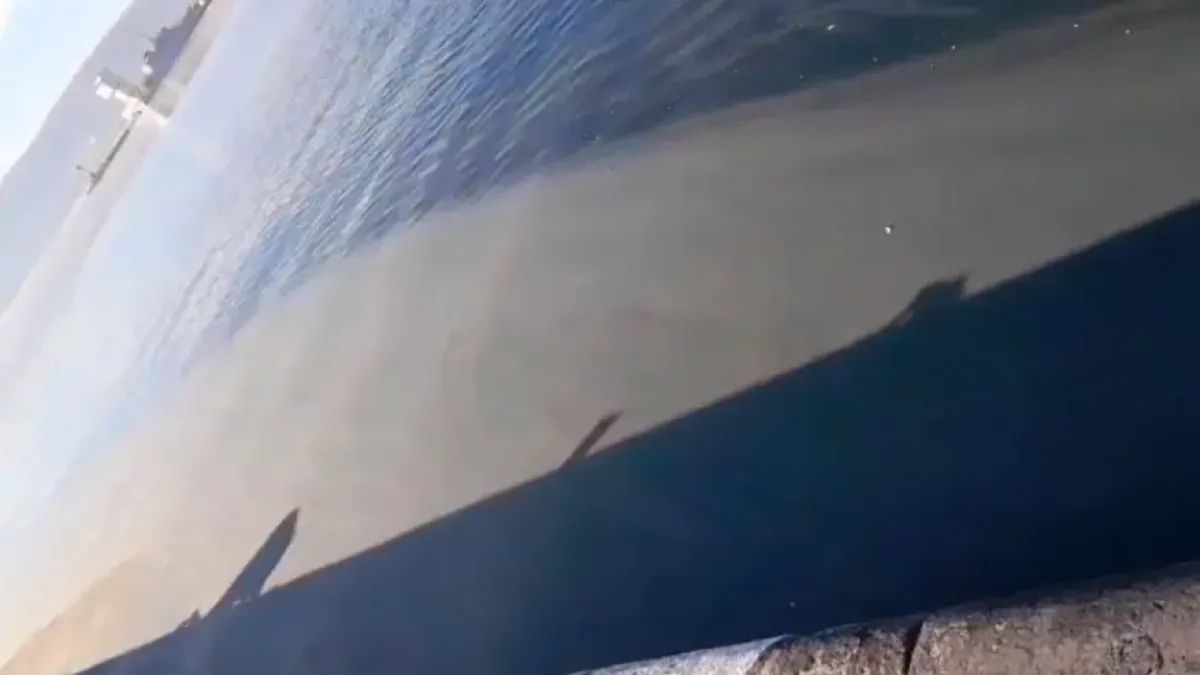 Шокираща гледка в морето край варненската Морска гара, какво се случва СНИМКА