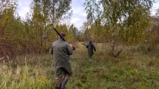 Кървав екшън със звяр по нашиге гори, шият кучета като пълнено агне Снимки 18+