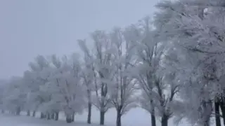 Сибирски студ: Температурите паднаха до минус 36°С, завиват колите с одеяла при комшиите СНИМКИ