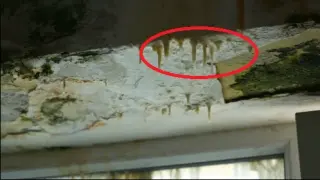 Тодор Батков-младши шокира, показа сталактити в обществена сграда ВИДЕО