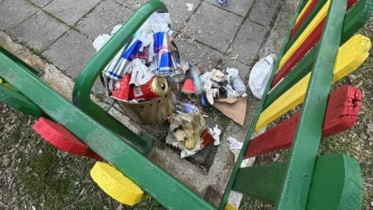 Едно кошче на детска площадка в Благоевград показа падението на цяла една страна