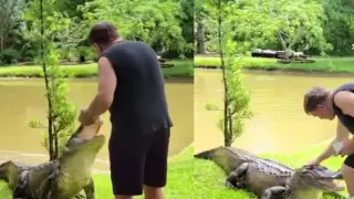 Мъж нахрани алигатор и шокира мрежата ВИДЕО