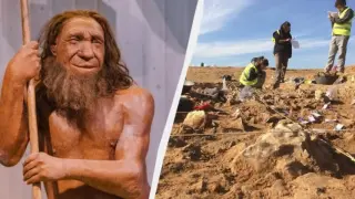 Урок по история: Кои са първите хора в Европа?