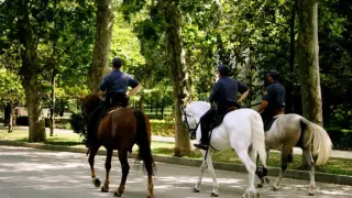 СДВР развърза кесията! Дава луди пари за...