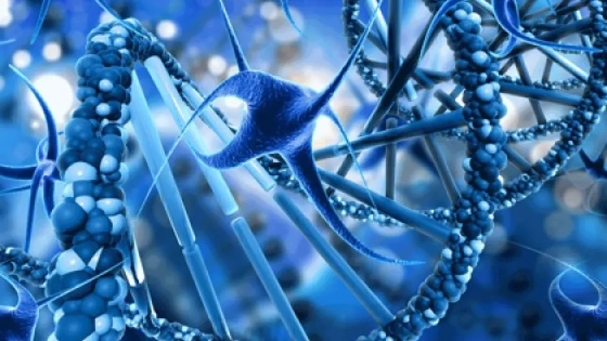 Tesamorelin and Ipamorelin Peptide Blend in Scientific Research: Hypothesized Potential
