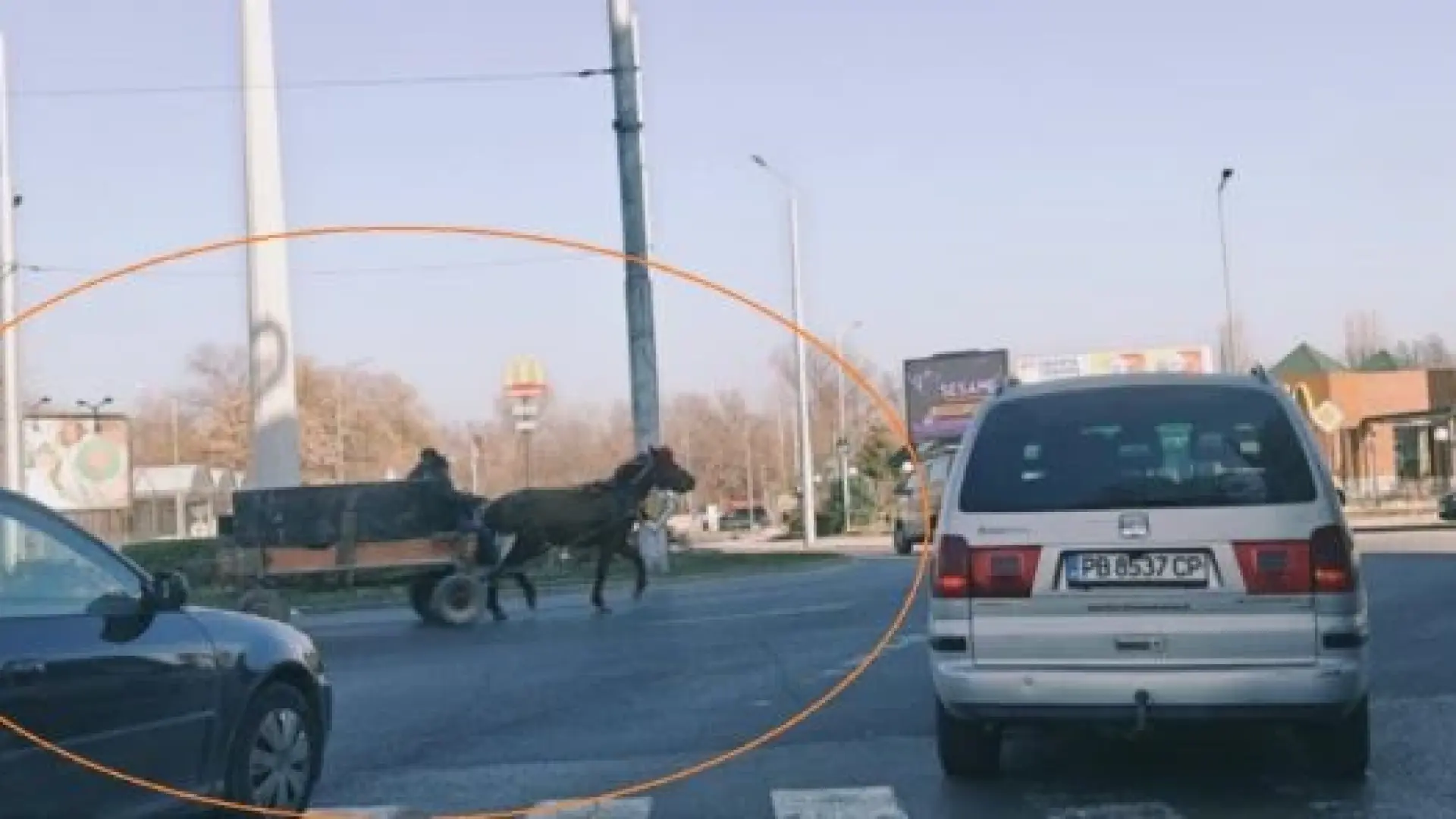 "Гладиатор" от Столипиново вбеси пловдивчани СНИМКИ