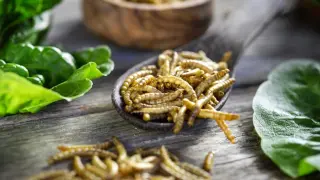 Буболечки в менюто - ще ни се услади ли брашненият червей след решението на ЕС 