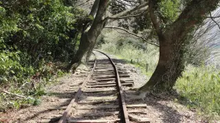 Историята на изоставената жп линия, която трябваше да свързва София със Скопие