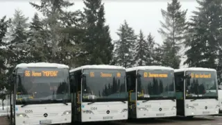 Важна новина за този автобус и транспорта до Витоша 