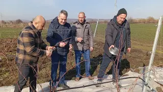 Легендарни музиканти пристигнаха у нас, подрязват лозята СНИМКИ