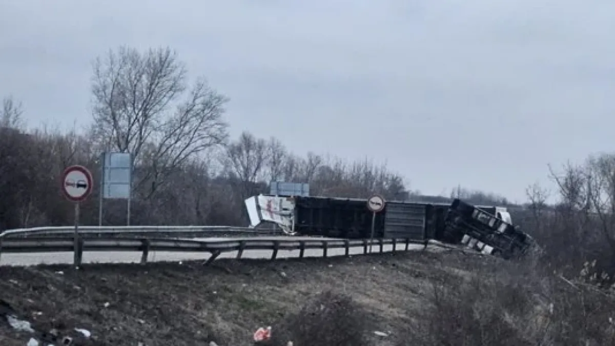 Лъсна шокиращ детайл от мелето с 4 трупа край Видин, това ли е причината за трагедията