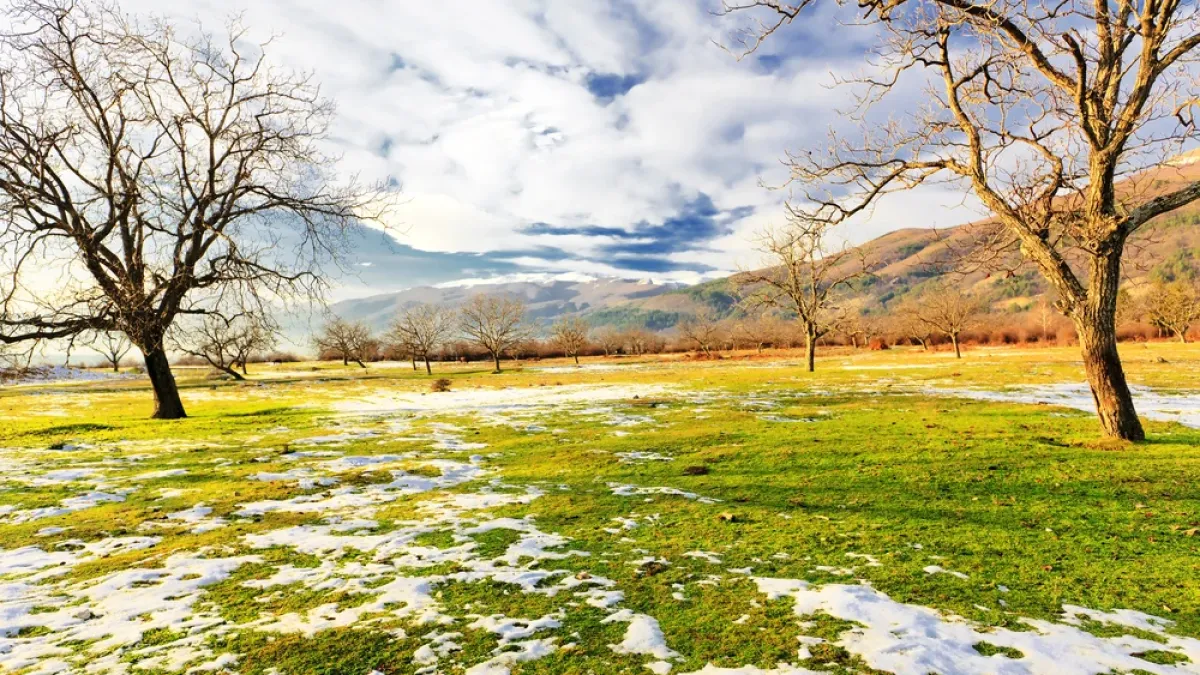 Meteo Balkans: Краят на зимата идва скоро, а през март ще е лято