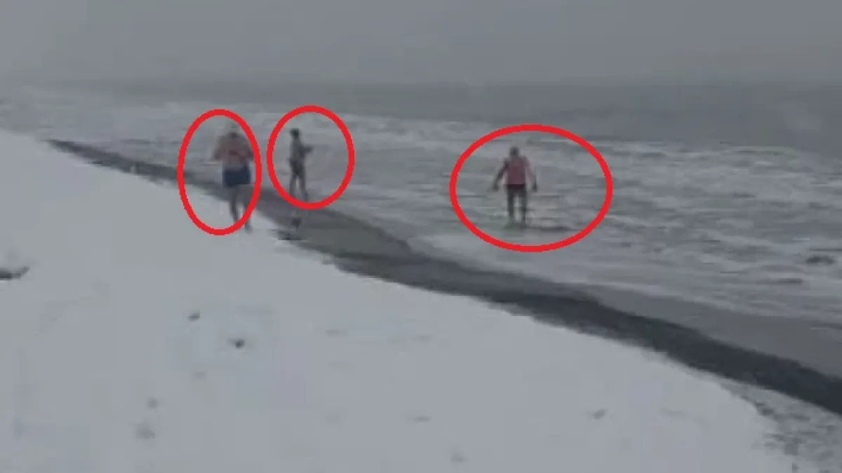 Чудо невиждано по Черноморието! Всички гледат и не вярват какви ги вършат тези хора ВИДЕО 