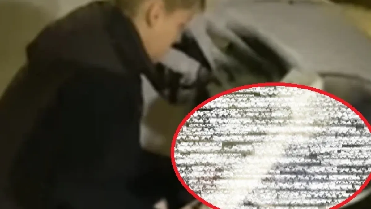За да почисти заснежената си кола, жена от Русе грабна... ВИДЕО