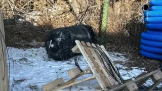 Част от ракета на Илон Мъск падна в Полша ВИДЕО