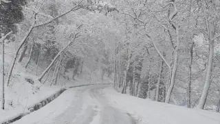 Първи сняг в Смолян: Заваля по проходите Рожен, Превала и Пампорово