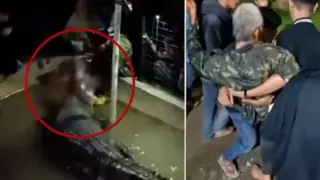 Крокодил нападна мъж, който решил да го нахрани ВИДЕО 18+
