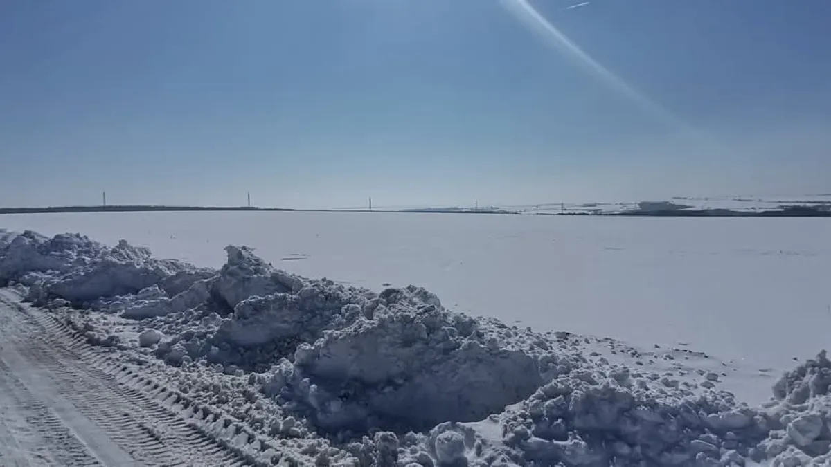 Насред студа! Красива поличба край морето – вижда ли му се краят? ВИДЕО