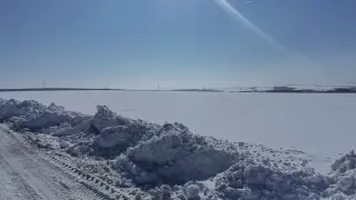 Насред студа! Красива поличба край морето – вижда ли му се краят? ВИДЕО