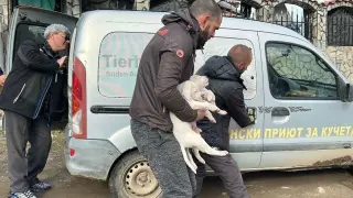 Два ареста след кървавото нападение в Казанлък, а кучетата...