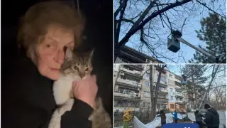 Големи новини за котката Дидка от Пловдив, чиято съдба следи цяла България ВИДЕО