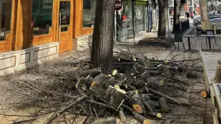 Габровци взривиха мрежата, обвиняват властите в корупция заради... СНИМКИ