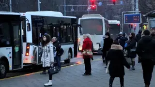 Джебчийки плъзнаха в Пловдив, има стотици опарени