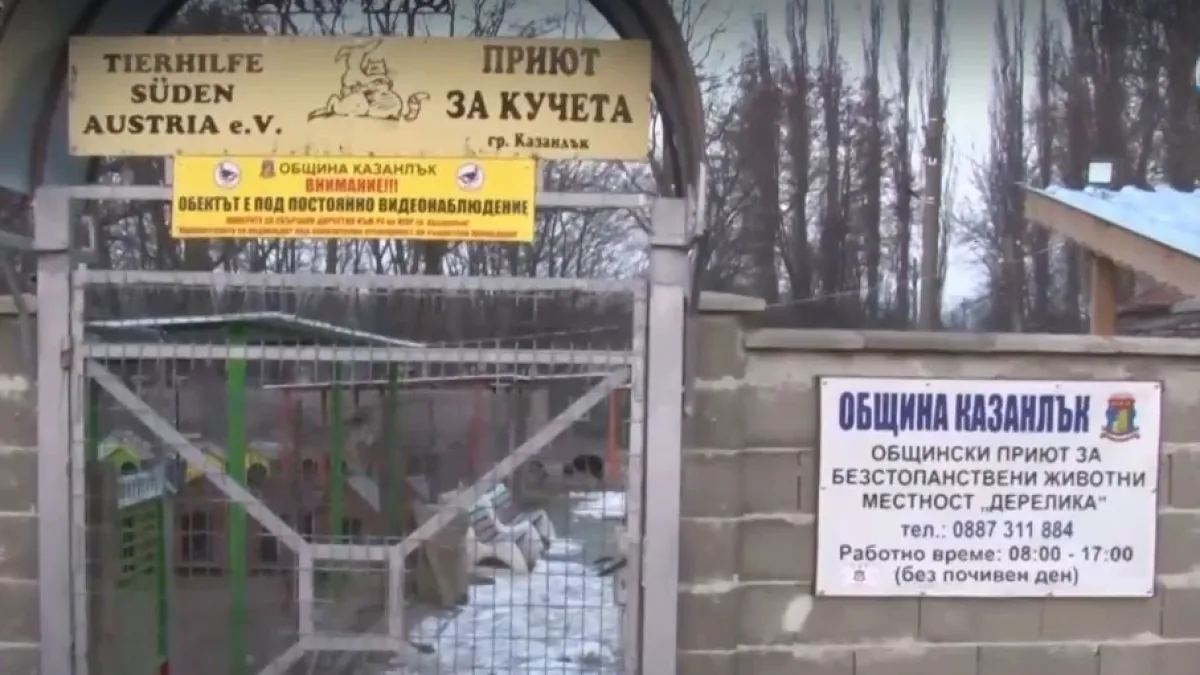 Нови разкрития за зверството срещу кандидат кмет на ГЕРБ, което смрази България! ВИДЕО
