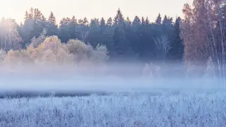 НИМХ ни шашна с прогноза за четвъртък: Чакат ни мъгла, слана, а после...