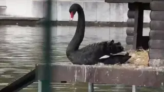 Скандална кражба в Сандански, всички са в шок