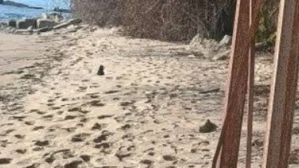 Откриха уникален плаж у нас, опасна стълба ни отвежда в рая