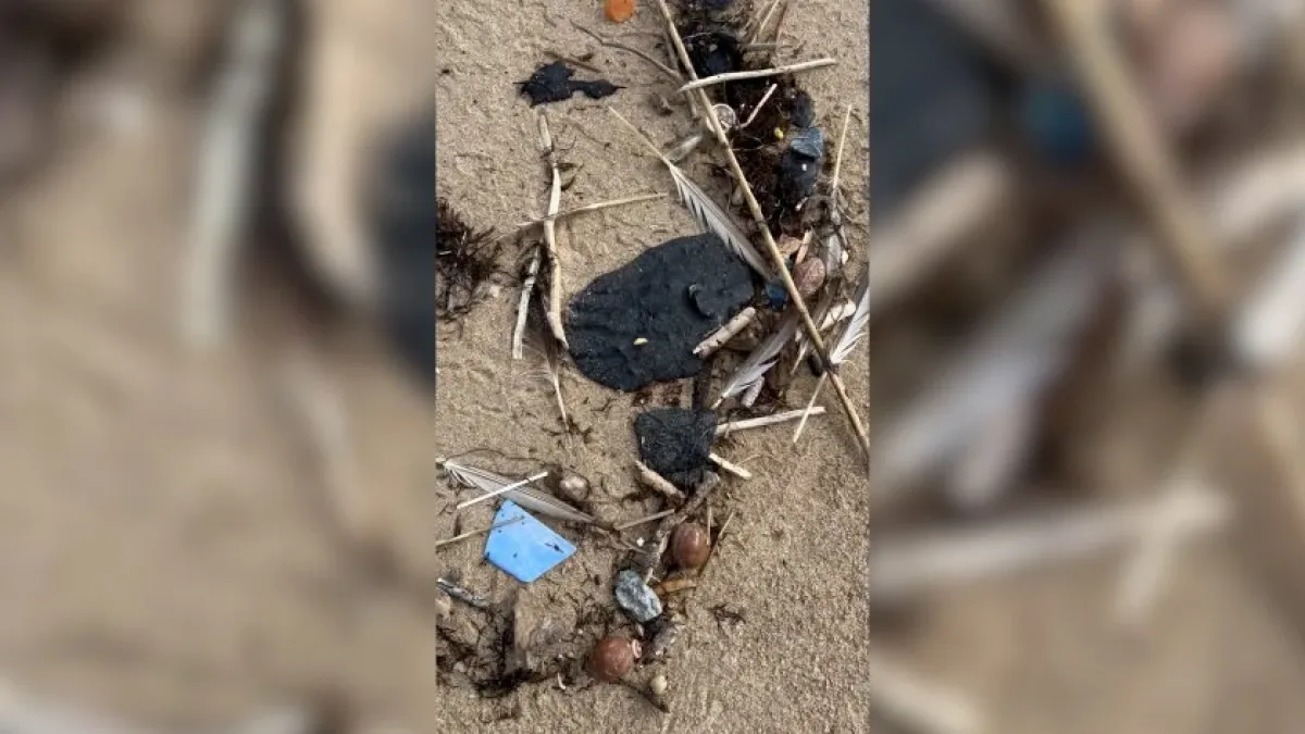 Притеснителна гледка на любим на българите роден плаж СНИМКИ 