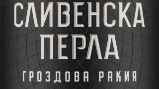 "Сливенска перла" е любимата марка ракия на българина