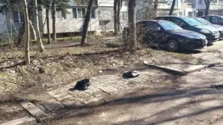 В София пак са първи в модата - тубите са в историята СНИМКА