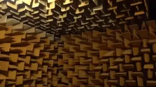 "Когато ти самият ставаш звук": Какво е да бъдеш в най-тихата стая в света?