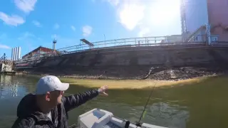Родна компания трови водите на Дунав, оправданието е скандално ВИДЕО