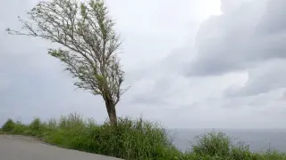 Времето днес ни готви нова опасност по тези места КАРТА