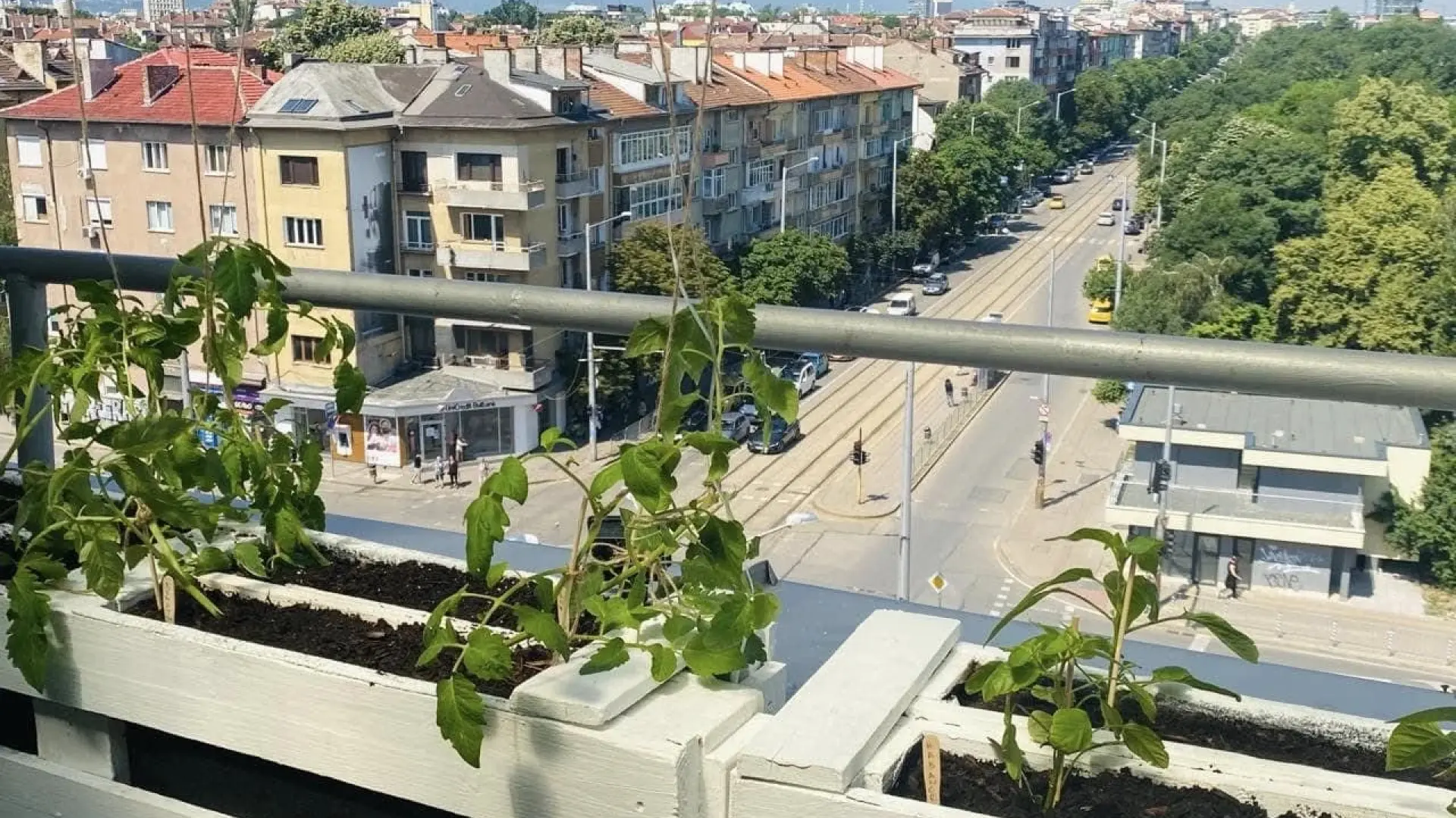 Шок! София губи пари за градини и училища заради безхаберието на ПП-ДБ и "Спаси София"