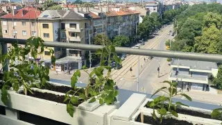 Шок! София губи пари за градини и училища заради безхаберието на ПП-ДБ и "Спаси София"