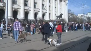 В София ври и кипи заради садистите Габриела и Красимир ВИДЕО