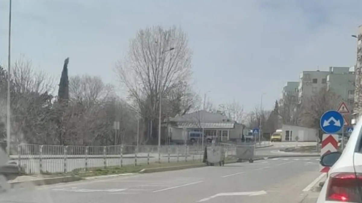 Нов вид "участник в движението" взриви мрежата СНИМКА
