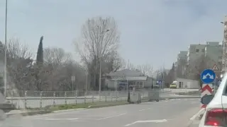 Нов вид "участник в движението" взриви мрежата СНИМКА
