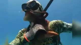 Драма в морето: Октопод нападна водолаз, ето какво се случи ВИДЕО