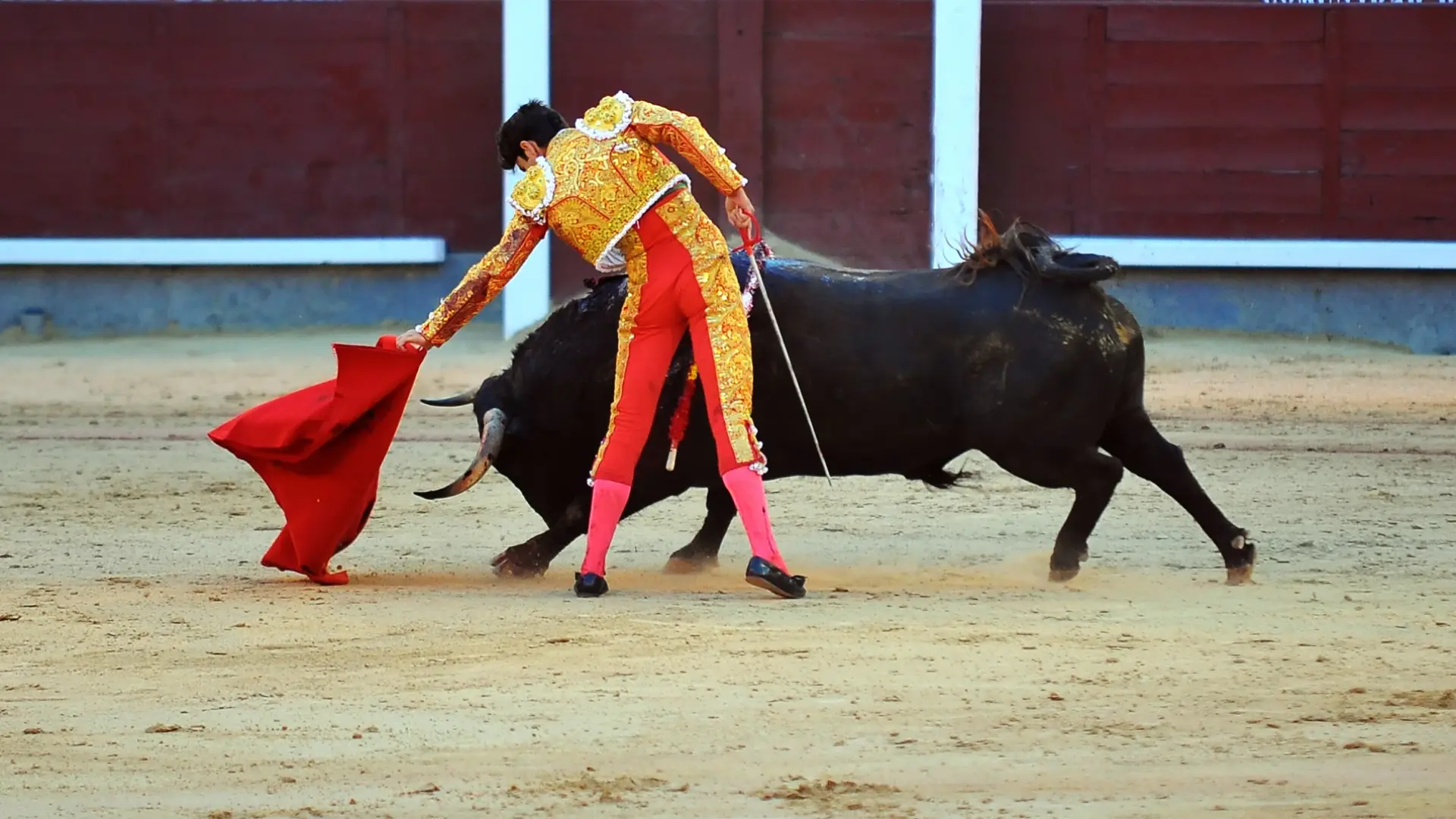 Коридата никога няма да е същата в тази страна
