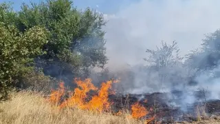 Огромен пожар затвори възлов път край голям наш град СНИМКИ