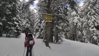 Мальовица посреща пролетта с Държавно първенство по ски-алпинизъм!