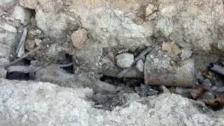 Страховита гледка в Шуменско отцепи цял район, почерня от полиция СНИМКИ