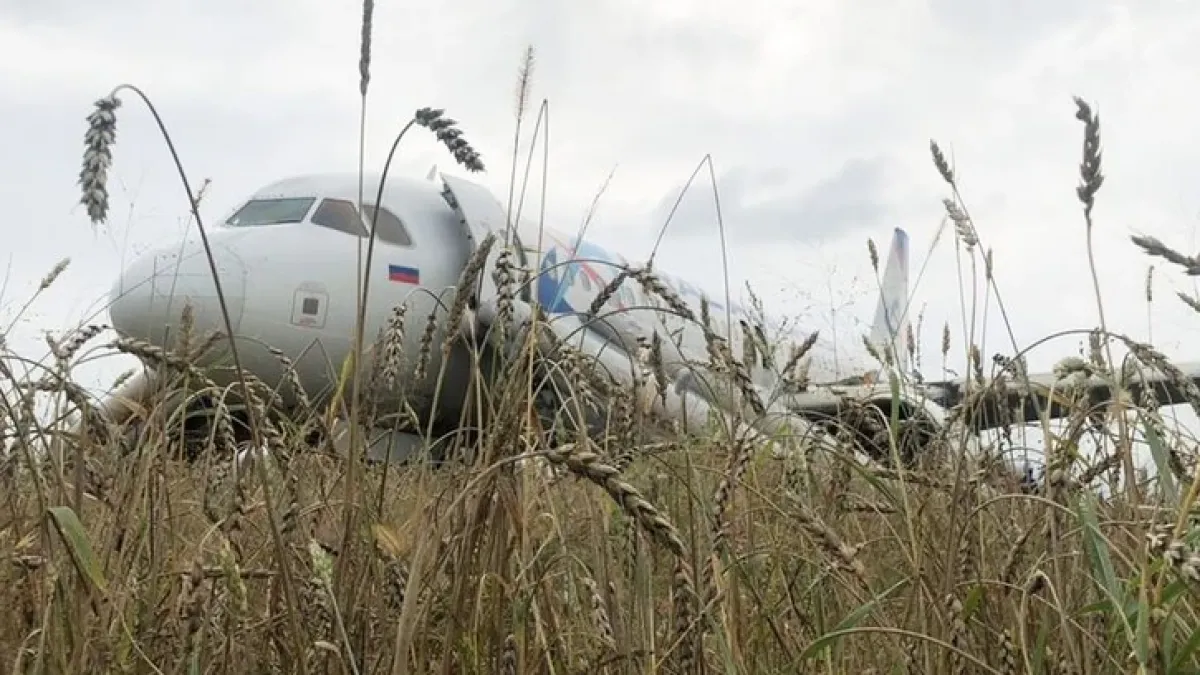 От бакшиш и хамалин до Airbus: Авиолинии уволниха пилот, приземил самолет в житата СНИМКА