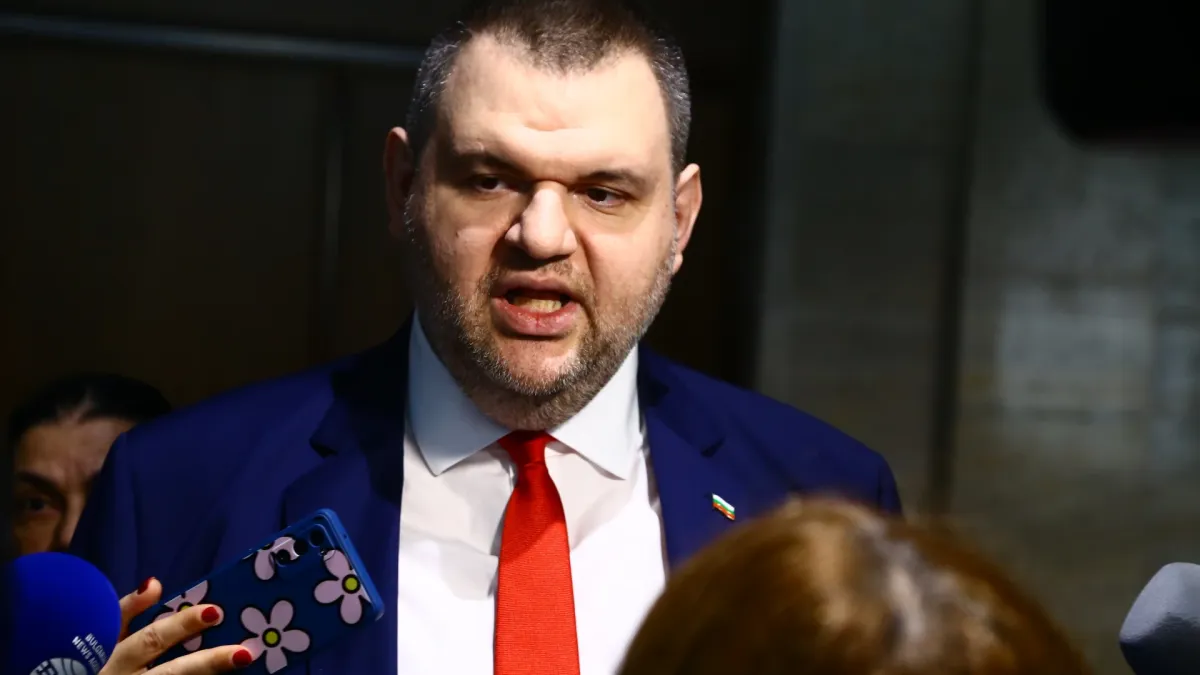 Пеевски: Партията на пуделите да замълчат в ъгъла! Видео
