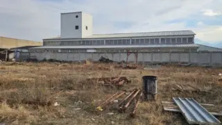 Уникален е! Разпродават наш завод на изумителна цена